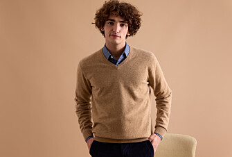 Pull homme laine col V Beige Foncé Chiné - ELIAN