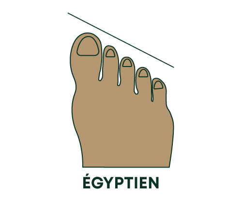 Pied egyptien